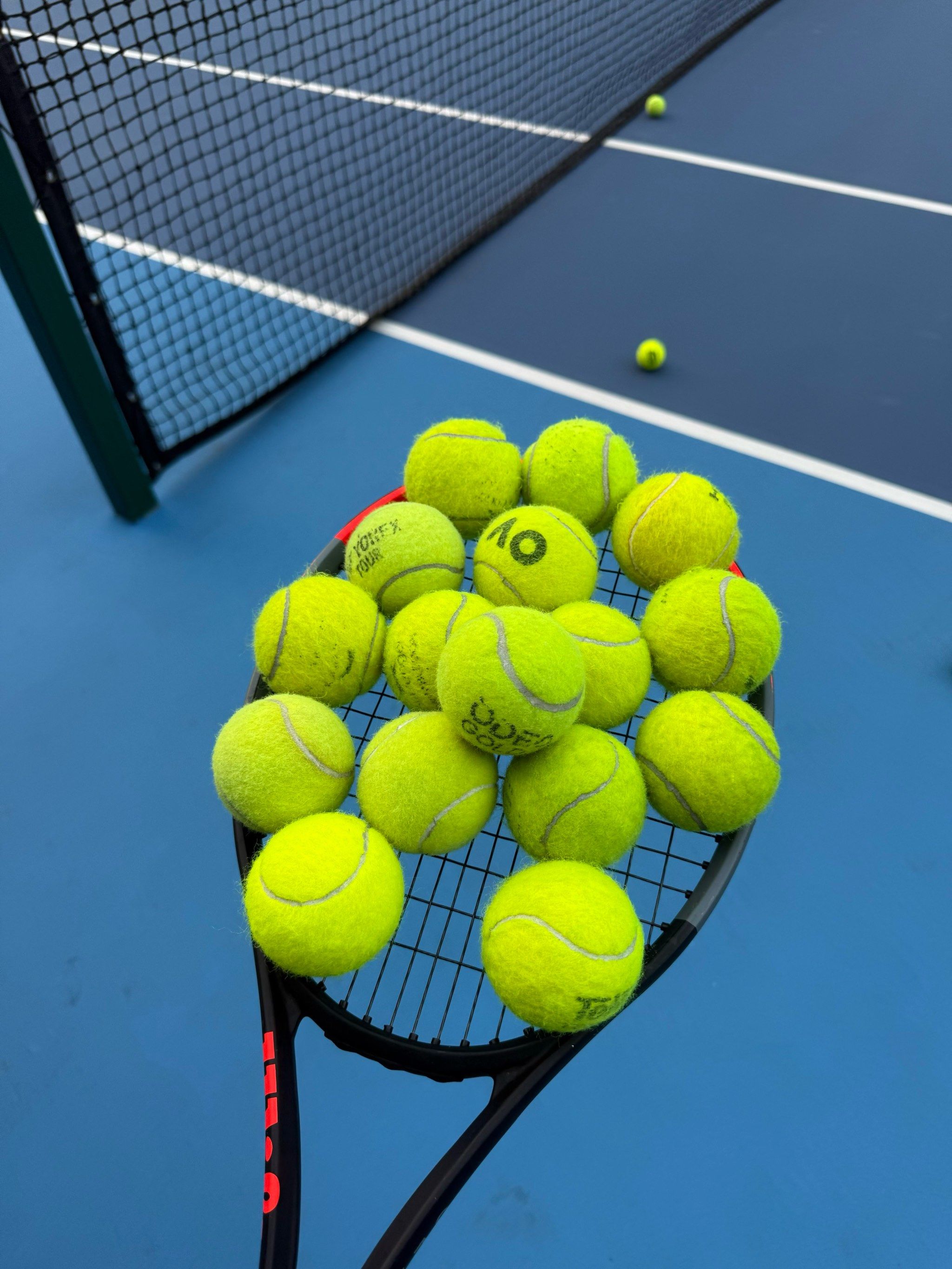 截然不同 截然不同